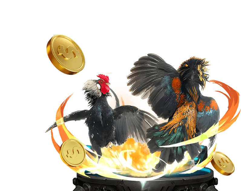 Trải nghiệm casino trực tiếp